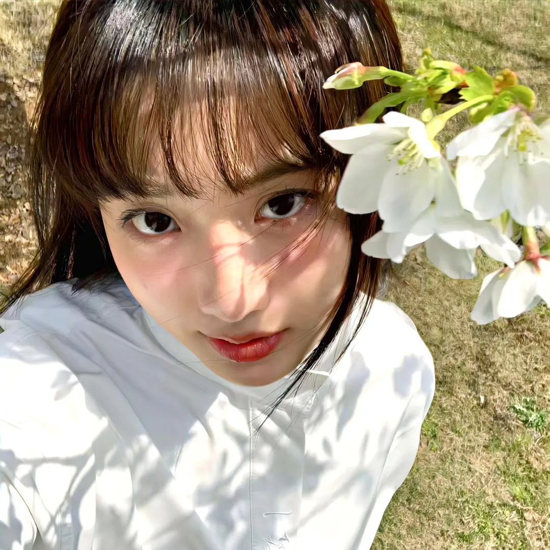 庭怨森森